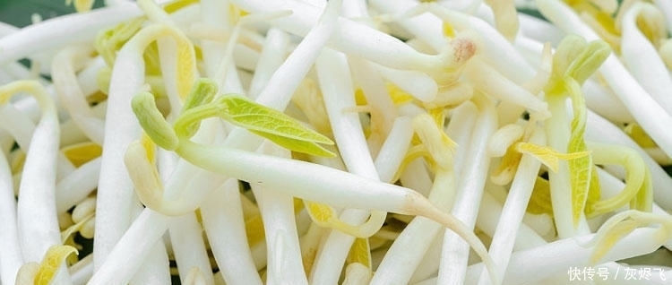  脆爽|炒豆芽时,最忌直接下锅炒,学会大厨的做法,豆芽脆爽入味不出水