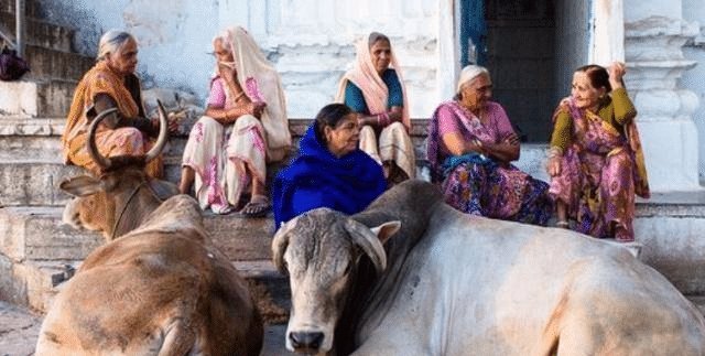 印度恒河里|印度人不吃猪肉, 也不吃牛肉, 连鱼肉都很挑, 那印度人吃什么肉