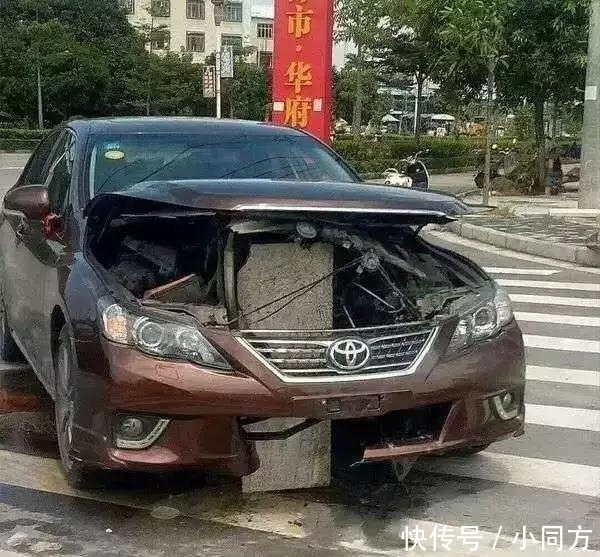 车主|超级搞笑: 本年度最为搞笑的车主大奖得主, 林大了啥鸟都有。