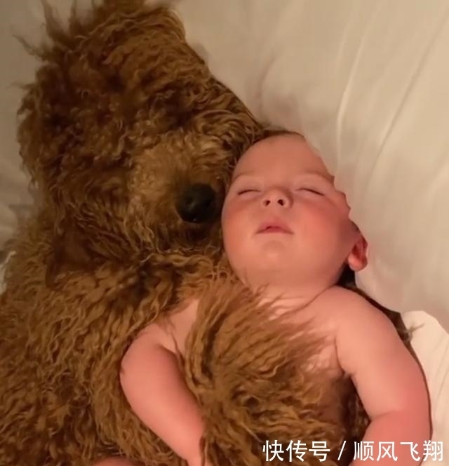 狗子|放宝宝和狗子单独在家,推开门一看不忍心打扰:太暖心了吧?