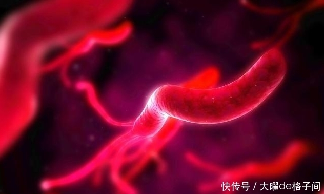 方法|胃里的幽门螺杆菌,该怎么赶走?坚持3个方法,全部消失