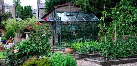 羡慕|13个“私家菜园”好吃又好看,网友直呼太羡慕了