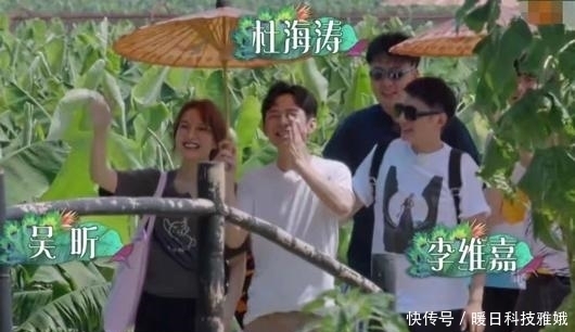 节目|何炅《向往的生活》差别对待嘉宾,面对快乐家族卸掉假笑