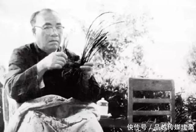 朴实|朱老总敦厚朴实如老农，两次被敌误作伙夫，两次逃出生天