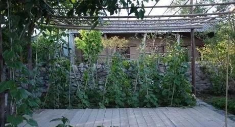 小院|20多岁的年龄差距,却把一个破烂的农家小院变成了“桃花源”