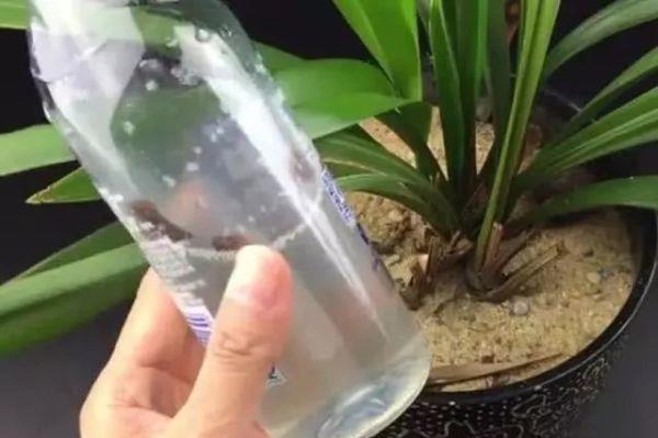 浸泡|泡土豆丝的水不要倒掉,其实特别值钱,还有大作用,学到就赚到