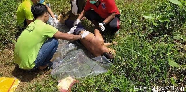 镇南|缅甸昔卜镇南蚌村附近，又有一名男子被枪杀