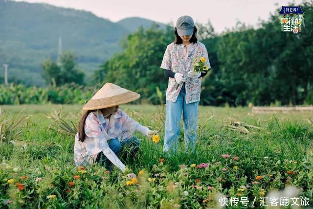  西双版纳|这个被各大热门综艺独宠的宝藏省份，真是仙到要疯！