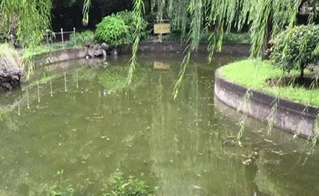  凭空消失|来女士失踪案，折射出一个现实婚姻问题，二婚通常不被看好