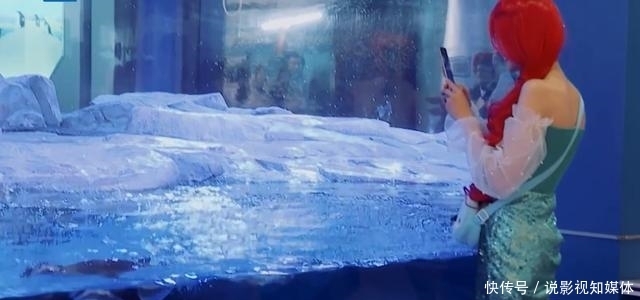 手机|郑爽上节目遭吐槽,玩游戏作弊,喝水作假,即使录节目手机都不离手