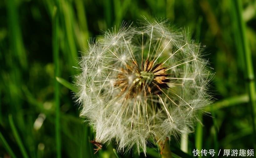朵朵开|10月,月老牵红线,3生肖桃花朵朵开,恭喜马上就能脱单!