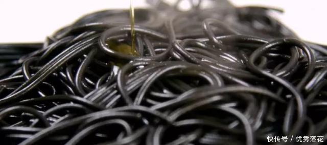 血液|他叫鱼,但不“鱼”,钙和血液供应,对孩子骨骼发育良好