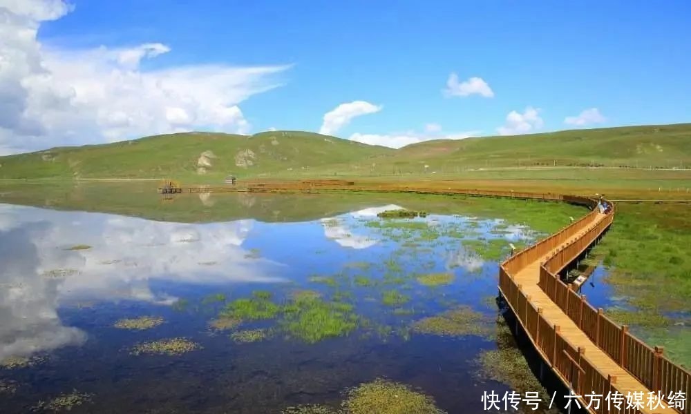 藏区|甘南,除了海拔,藏区的一切你都有∣该去·游