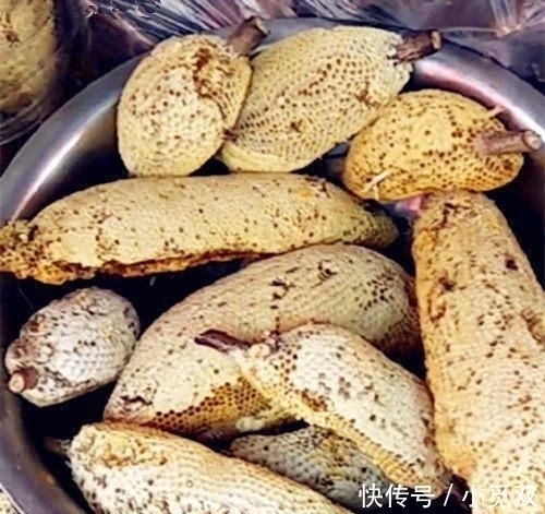 外婆|和外婆逛菜市场, 看见“稀罕美食”, 150元一斤, 我毫不犹豫买了6斤