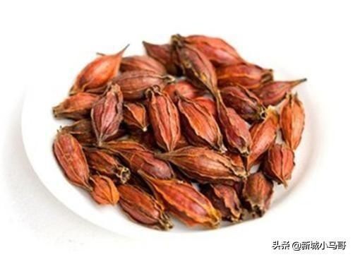 常见|二十种常见香料怎么用?一次性全告诉你!还有卤肉配方,值得收藏