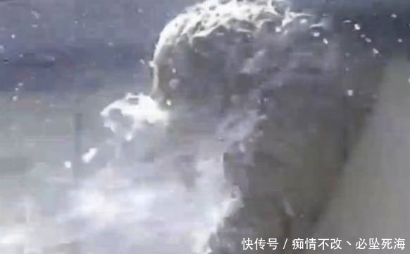 作死|男子作死用高压水枪弄马蜂窝，结果男子后悔不已险些丢命！