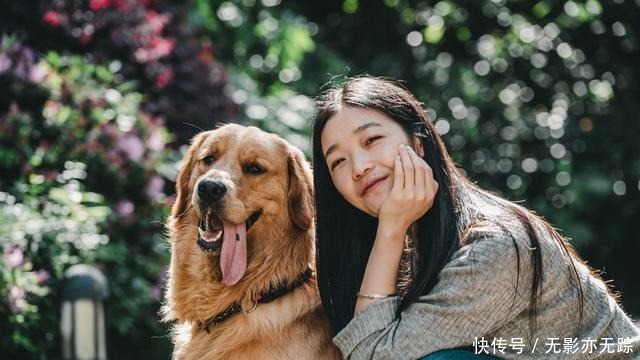 饲养|犬界最“危险”的5大狗狗,泰迪也在其中,一般不建议饲养