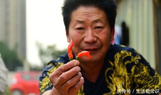 辣王|中国辣王每天把辣椒当饭吃 是饭馆最不欢迎的人｜百家故事
