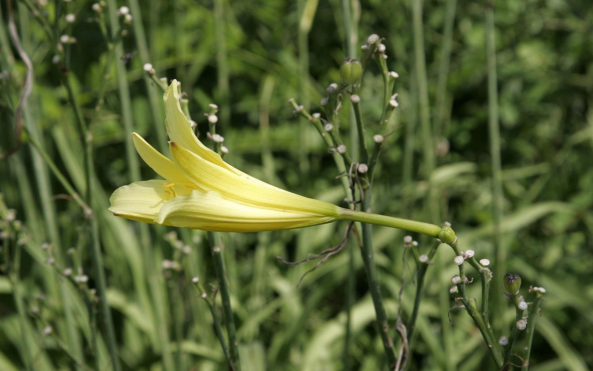 语录|情感语录:人生无常,且行且珍惜