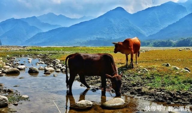 小城|广东人不能吃辣这座距省会1小时的粤北小城,能把你辣的头掉!
