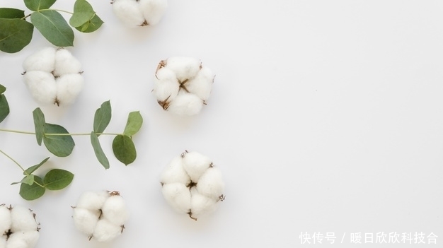 会知道自己|有一种相逢,是劫不是缘