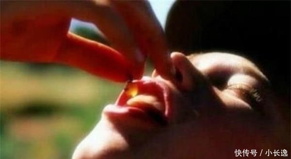 蚂蚁|这种蚂蚁很贪吃,自己喝蜜水把肚子吃成球,被当地人当零食生吃