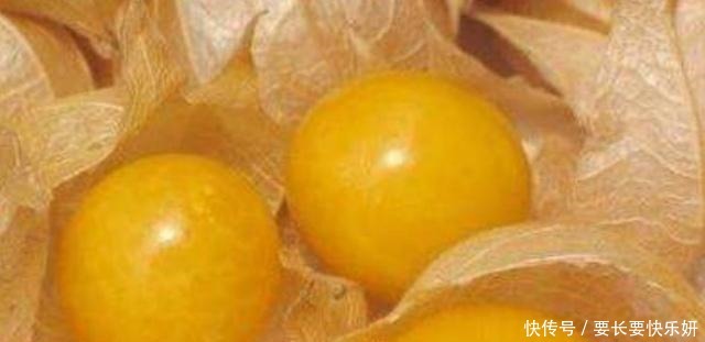 明明|明明是中国水果,被老外“改头换面”后,就价格翻倍,在中国热销