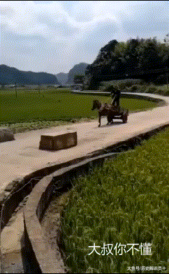 美人鱼|GIF搞笑趣图: 海边拍照要注意, 一不小心让你变成美人鱼