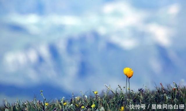 观点是对|废话定律:多数“正确的废话”,是源于自己的能力不足