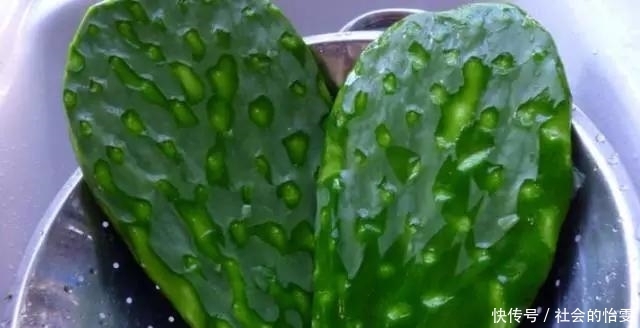 居然|仙人掌的妙用,居然还有排毒养肝的效用!