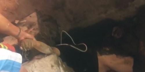  掉入|西丰8旬老人不慎掉入粪坑，消防到场帮助脱困