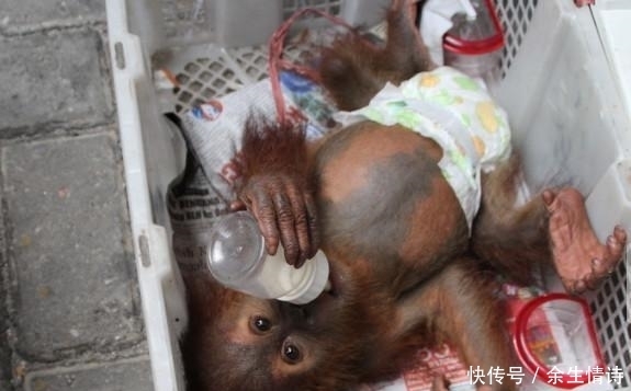  安检|男子过安检箱子里突然传出哭声，人们打开后看到的一幕令人心疼