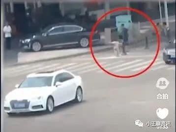  画面|爷爷转身离开半分钟2岁孙子失踪监控画面让人后怕