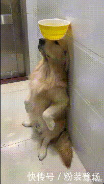 东西|“这个25的铝块是啥意思呢?哈哈哈...就是这些东西束缚了轮胎!”