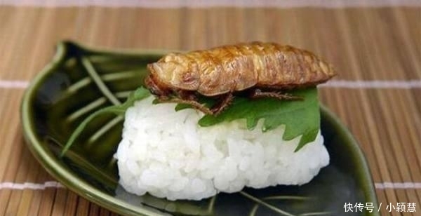 只能|如果你饿到头晕, 只能选1种黑暗料理填饱肚子! 网友: 我选饿死