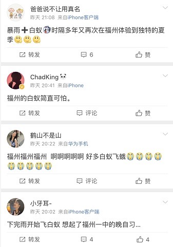  暴雨|头皮发麻！暴雨过后，多处出现小飞虫！