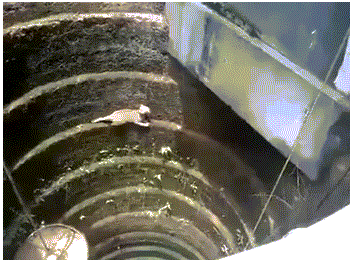 王者|搞笑GIF趣图:她曾经是个王者,后来