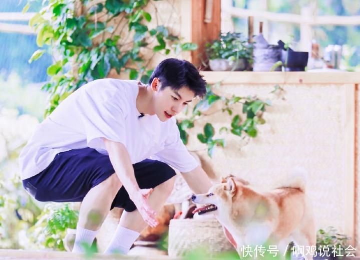  对比|《向往4》许光汉被指尴尬，像极了走亲戚，与欧阳娜娜对比鲜明