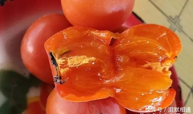 守候|爷爷种的火晶柿子,方圆数十里都是柿子香,而今只有老奶奶守候!