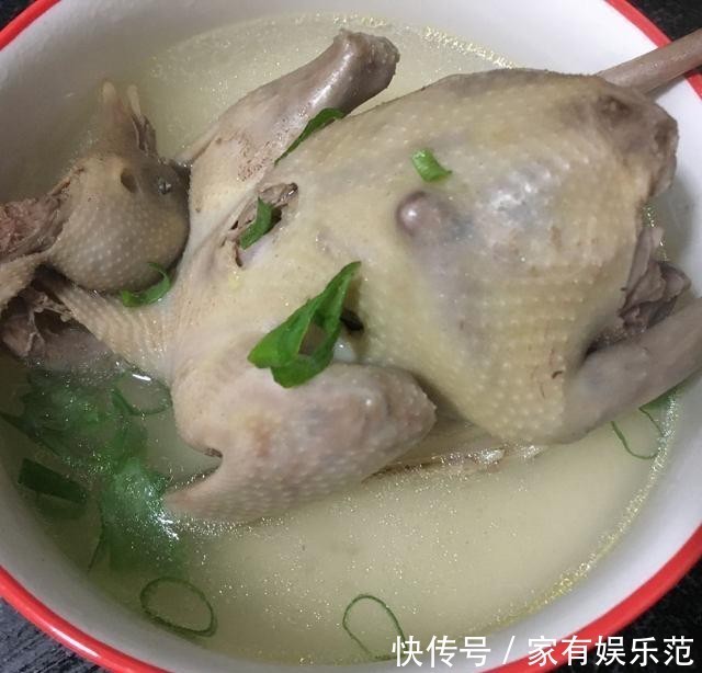 鸽子|清炖鸽子,营养滋补,清淡美味