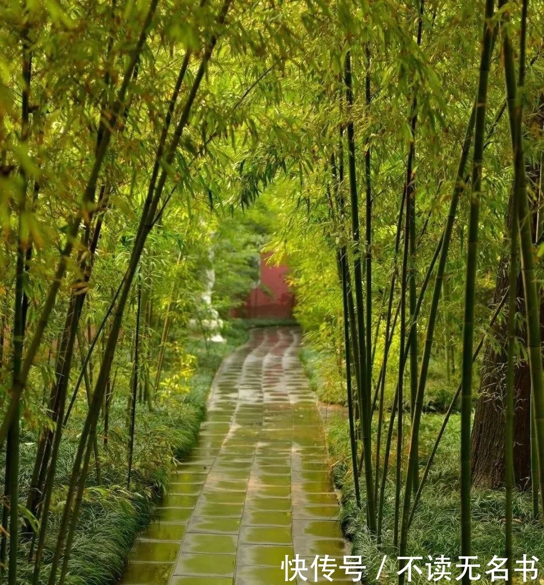 地区|茶文化读本:茶叶的摇篮-巴蜀地区