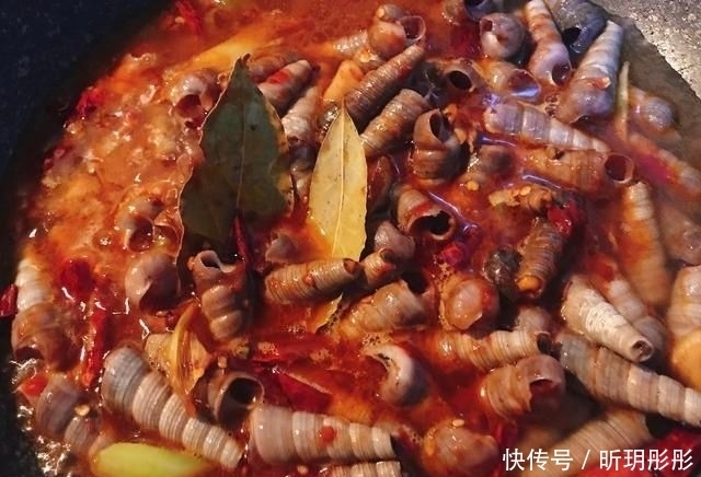 钉螺|香辣钉螺(海锥)的做法+配方,味道非常鲜美,解馋最好了