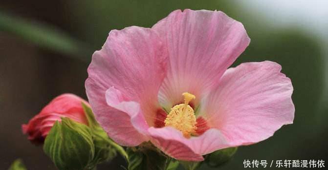 让他们|什么样的异性容易吸引十二星座的注意力狮子讲究势均力敌