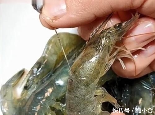 上当|吃小龙虾时,可以吃虾头和虾黄吗?看完赶紧的告诉家人别上当啦!