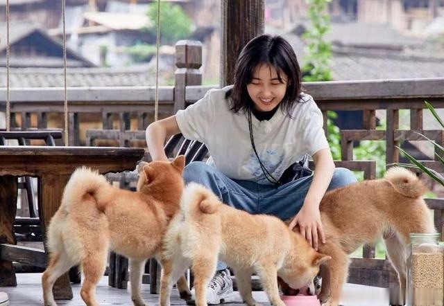 小鲜肉|黄磊拍《向往的生活》瘦了20斤,看看他做的美食,我也想试试了