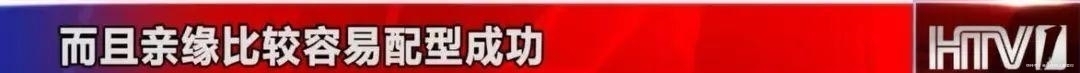  白血病|90后浙大研究生身患白血病 一个隐藏了28年的秘密被揭开