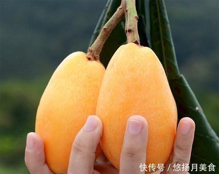 心番石榴|有五种特色菜，让人胃口大开，喜欢的人都盒装买