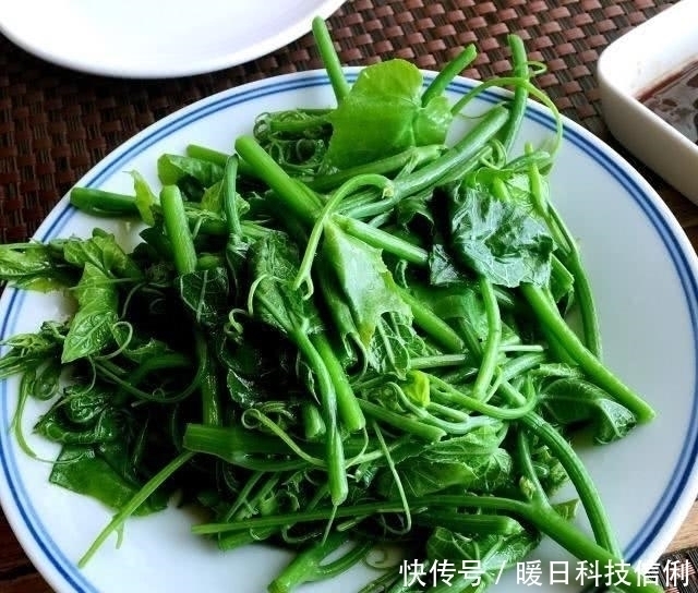 不腻|夏季吃这菜,一斤2块钱,百吃不腻,清肠又排毒,腰细了,腿瘦了