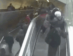 难道|搞笑GIF:这里面的难道是花生?我看着像,我回家带布袋!