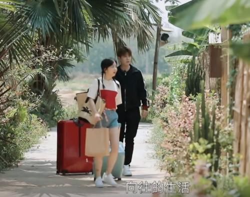  毕竟|任嘉伦上《向往》变身“怼王”，句句扎心谭松韵，气得她成表情包